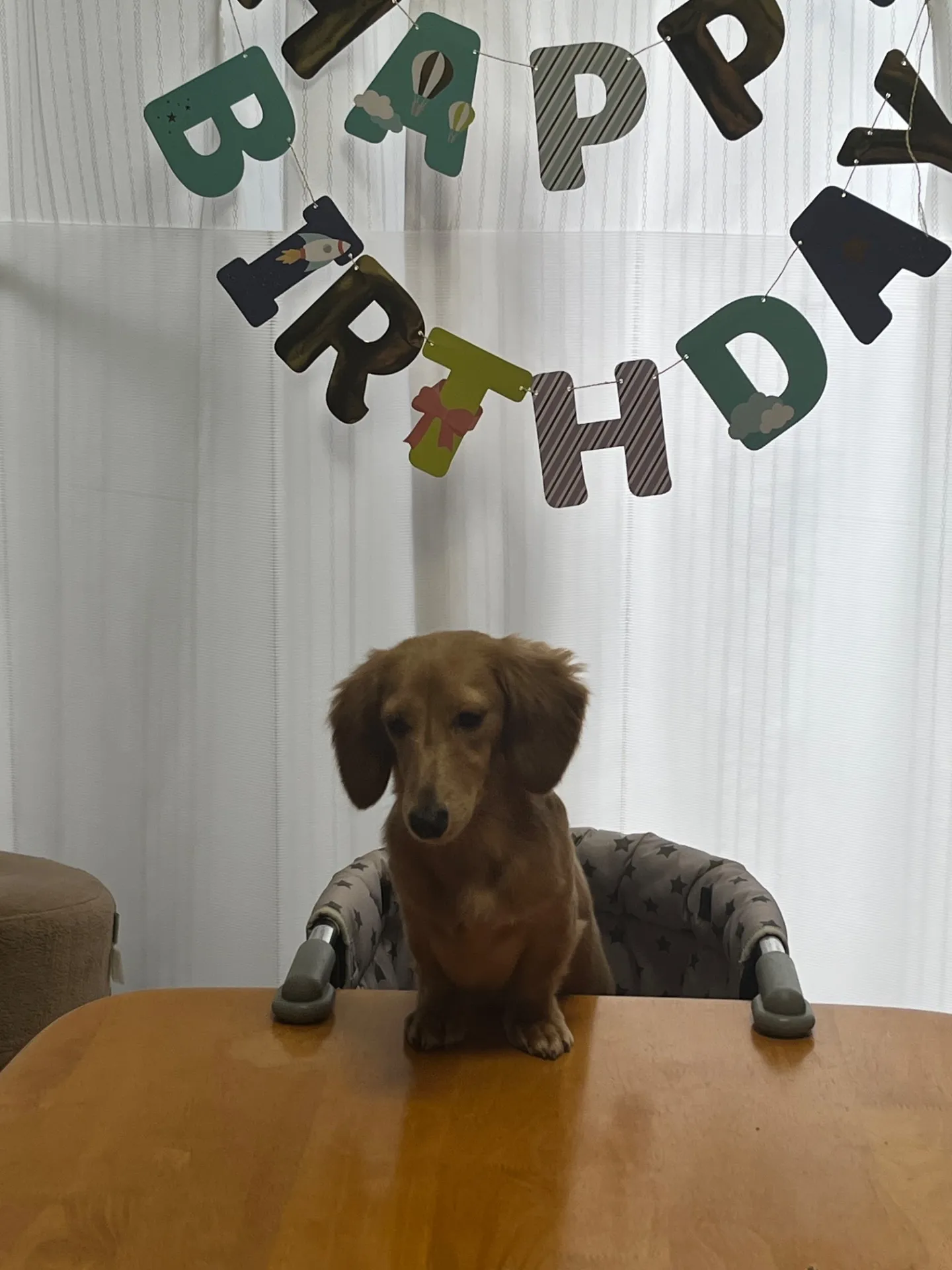 れいの誕生会をやりました🎉